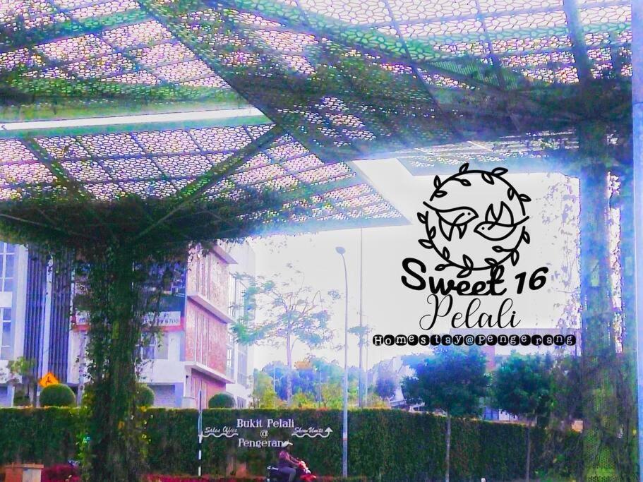 Sweet 16 Pelali Homestay Pengerang Εξωτερικό φωτογραφία