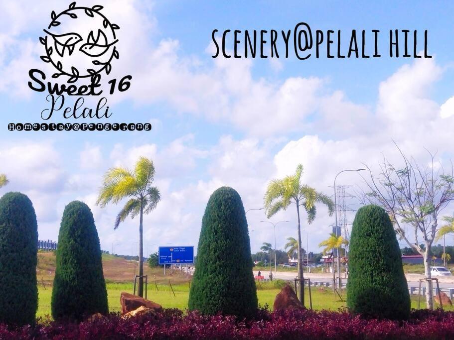 Sweet 16 Pelali Homestay Pengerang Εξωτερικό φωτογραφία